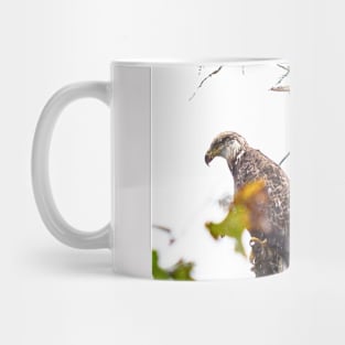 The Eagle's Perch Mug